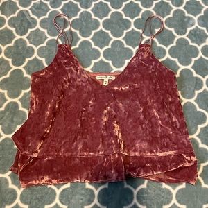 NEW Express mauve velvet top